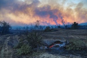 Turkey Wildfires