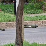 Transnistria-rocket-800x450