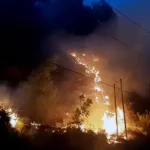 fire
